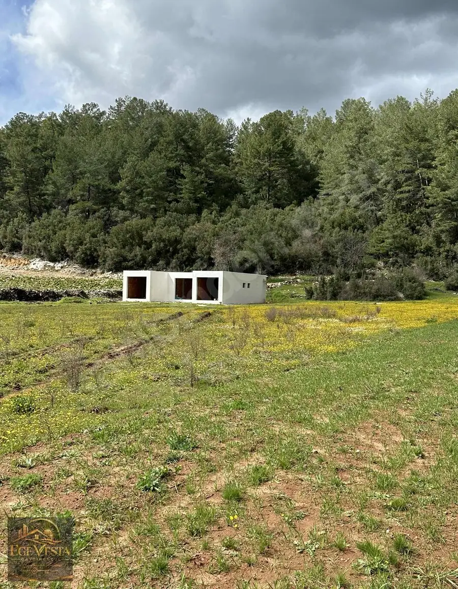 Yeşilüzümlü İncirköyde 3.477 m² Geniş Parsel Doğayla İç İçe – fotoğraf 3
