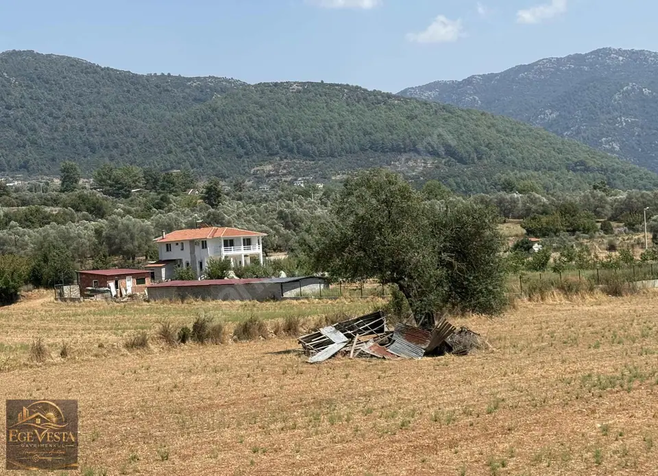 Yeşilüzümlü İncirköyde 3.477 m² Geniş Parsel Doğayla İç İçe – fotoğraf 5