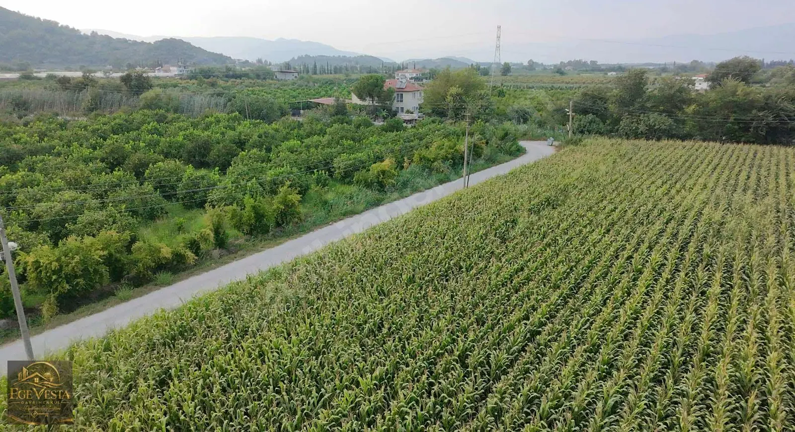 Ortaca Daylanda 7 Dönüm Yatırımlık Arazi