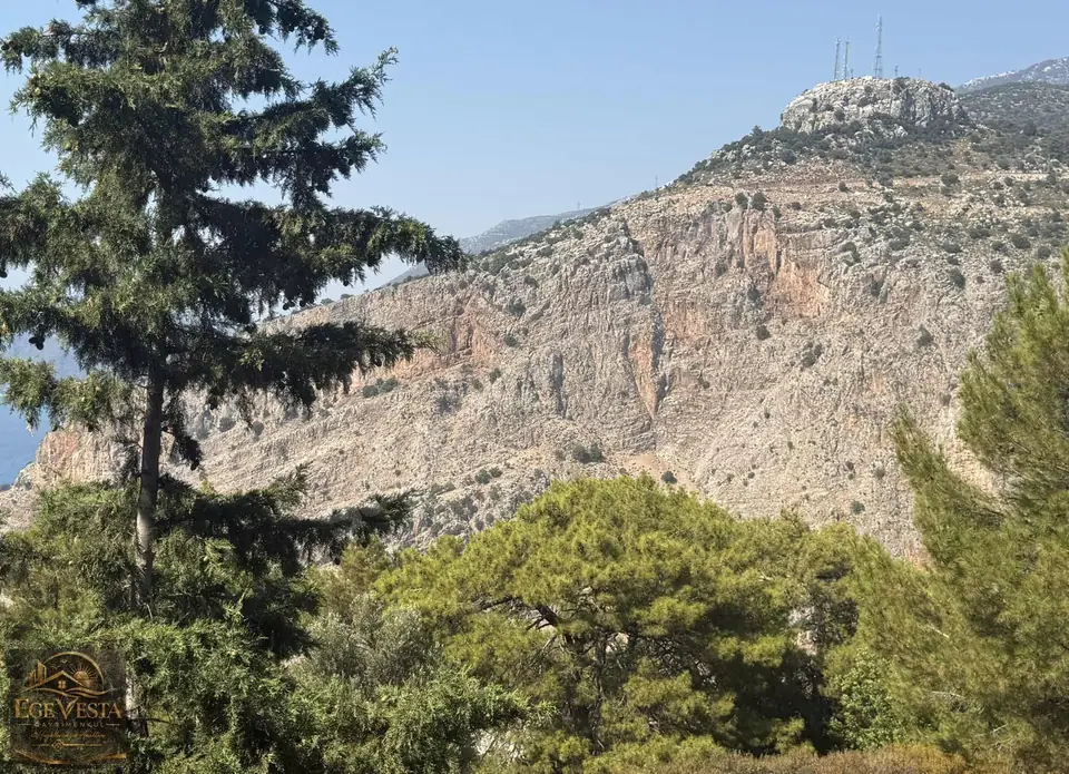Fethiye Faralyada Rıza'i Taksimli 2648 m² Arazi – fotoğraf 4