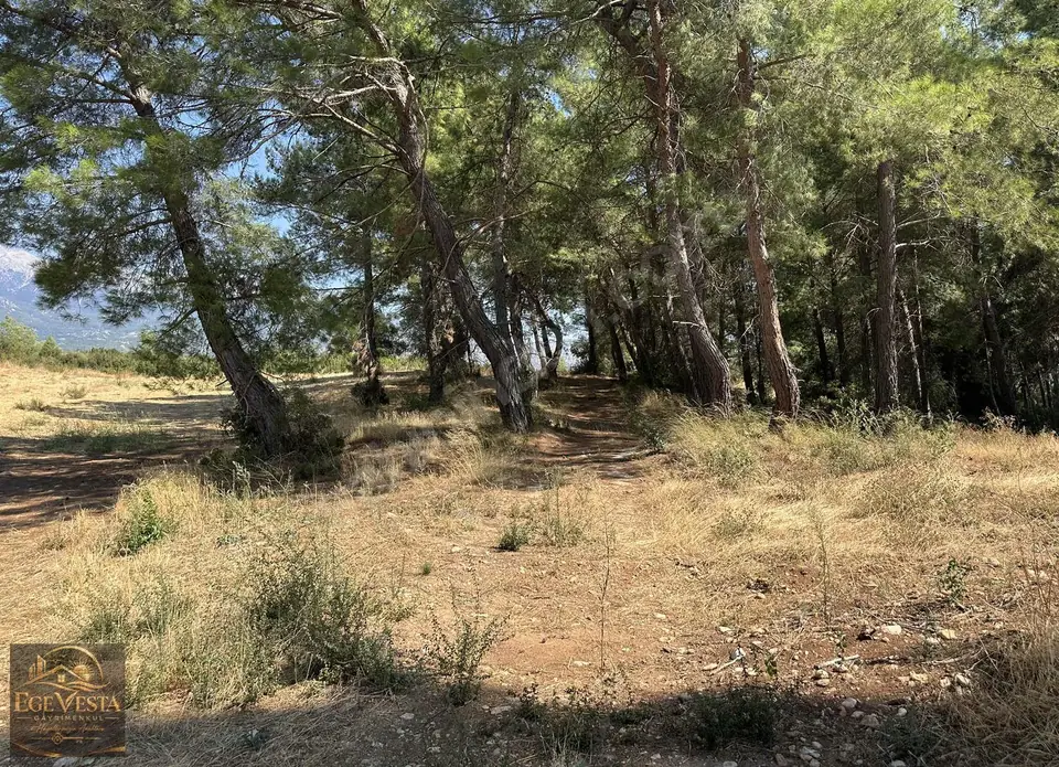 Seydikemer Çamurköyde 63 Dönüm Tarıma Elverişli, Arazi – fotoğraf 5