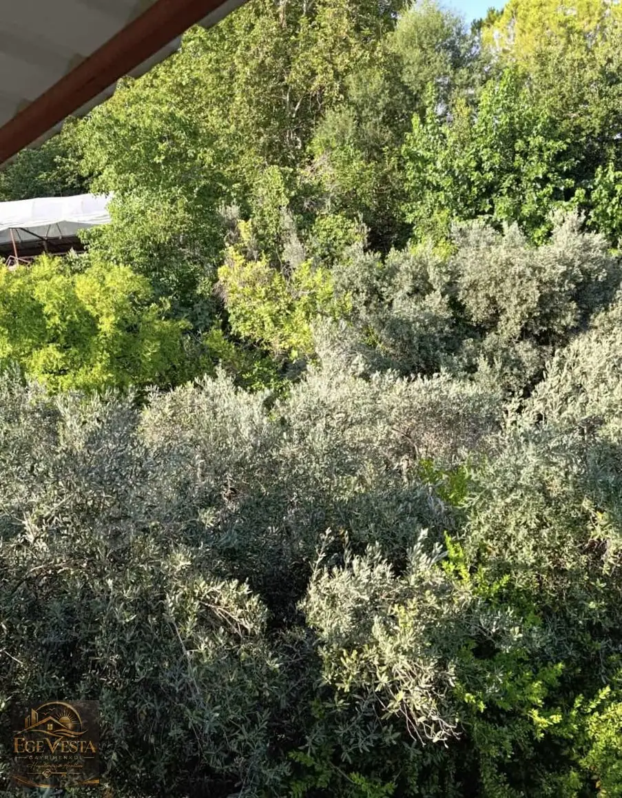 Seydikemer Döğerde 1453 m² 2 Adet Kargir Ev Olan – fotoğraf 3