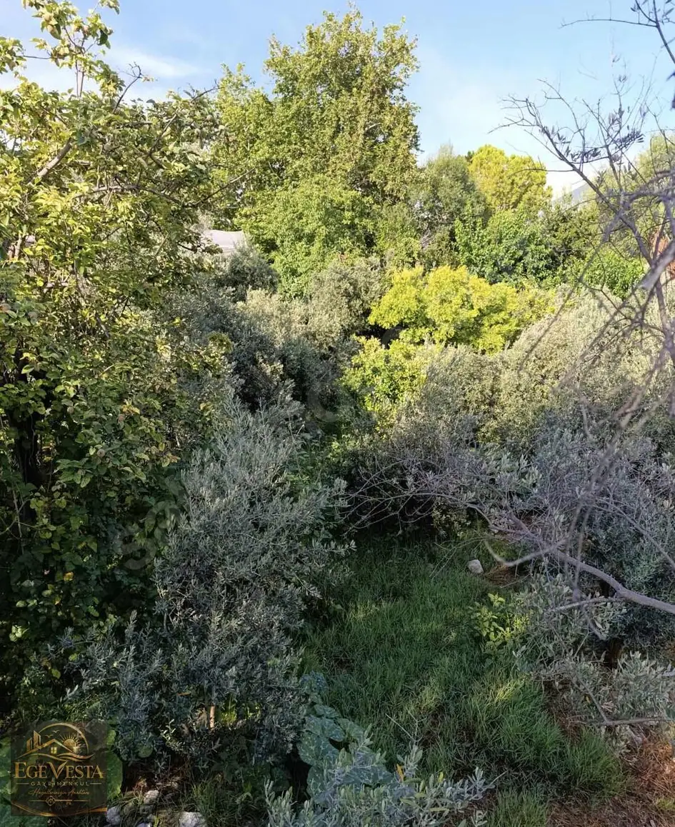Seydikemer Döğerde 1453 m² 2 Adet Kargir Ev Olan – fotoğraf 4
